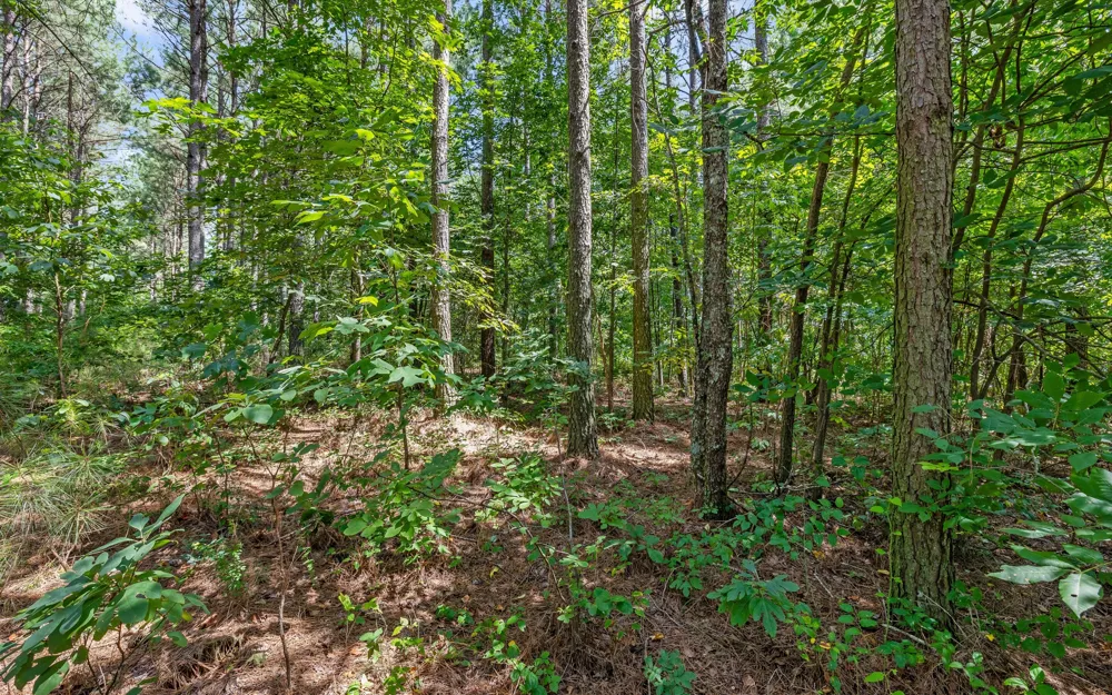 2225 High Ground Road Guild, TN 37340