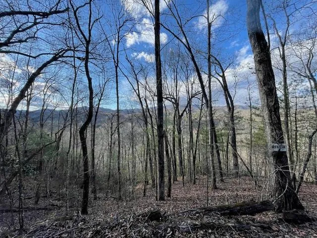 TBD Turkey Walk Drive Marble, NC 28905