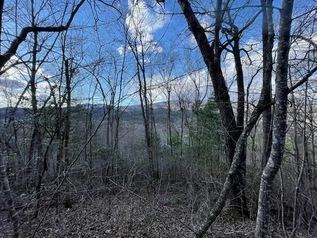 TBD Turkey Walk Drive Marble, NC 28905