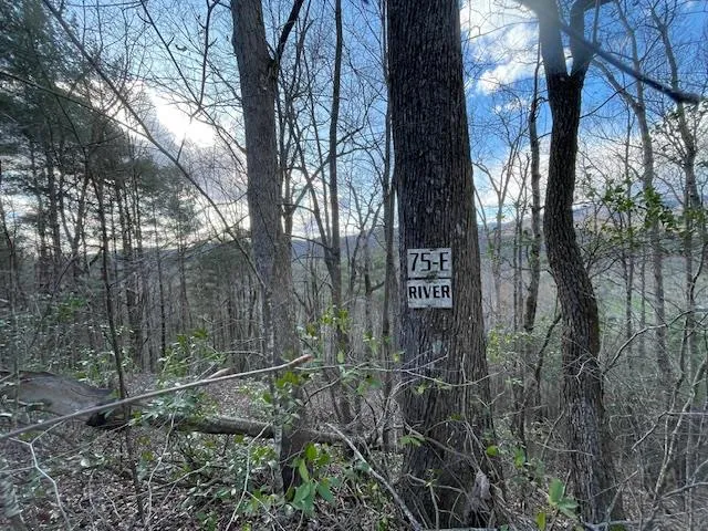 TBD Turkey Walk Drive Marble, NC 28905