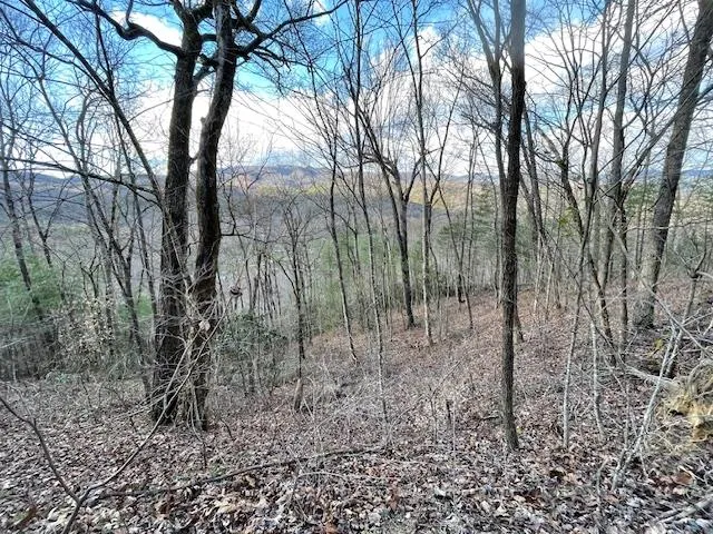 TBD Turkey Walk Drive Marble, NC 28905