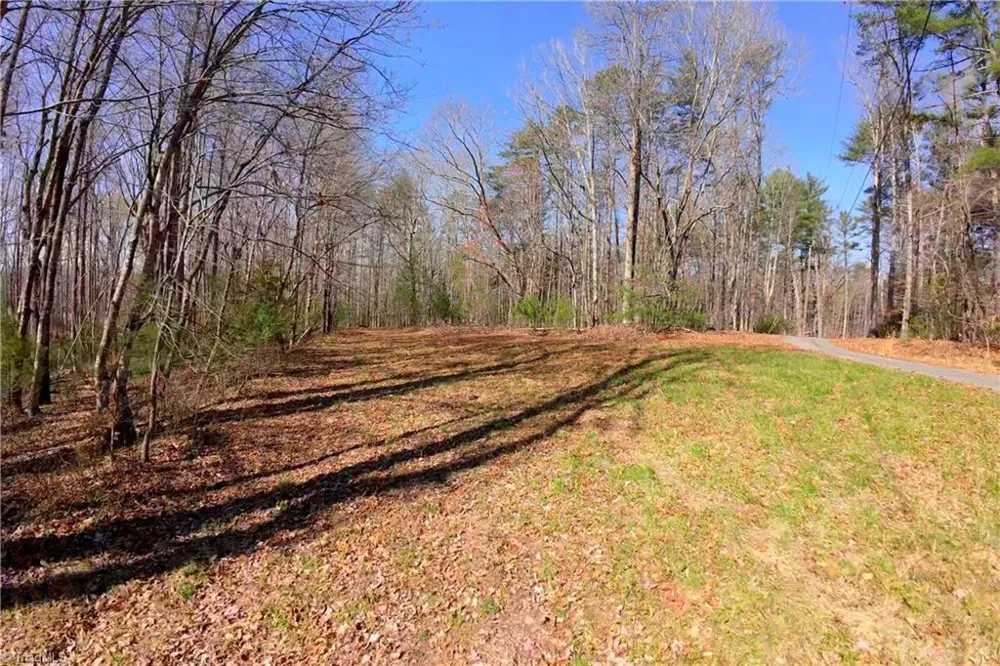 1019-12 George Road Westfield, NC 27053