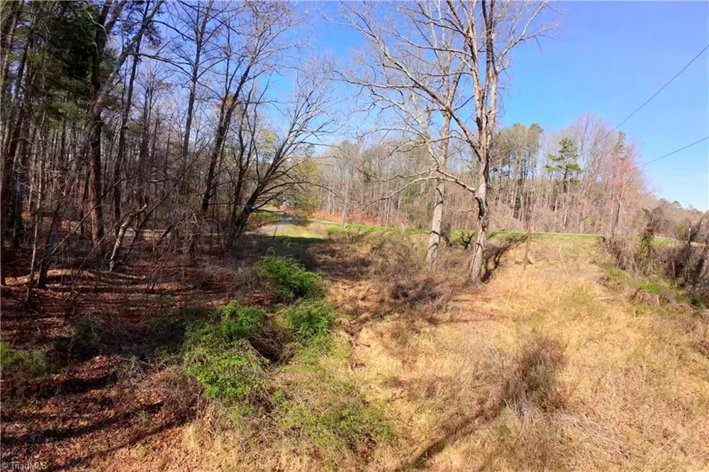 1019-12 George Road Westfield, NC 27053