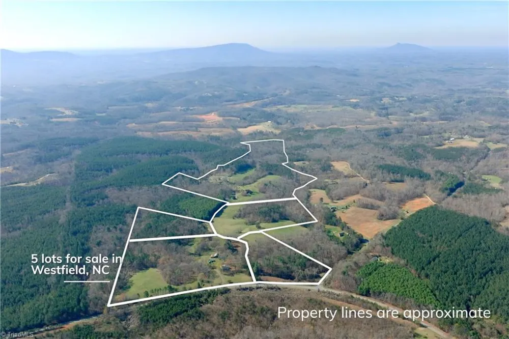 1019-12 George Road Westfield, NC 27053