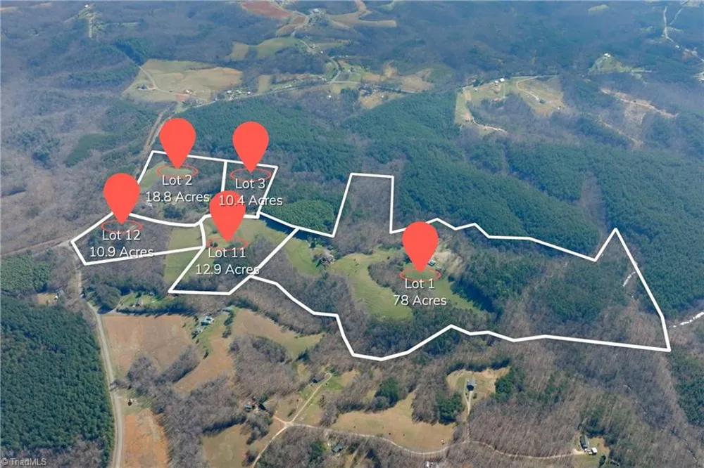 1019-12 George Road Westfield, NC 27053