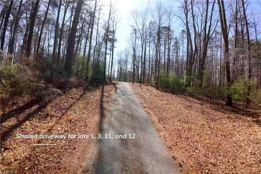 1019-12 George Road Westfield, NC 27053