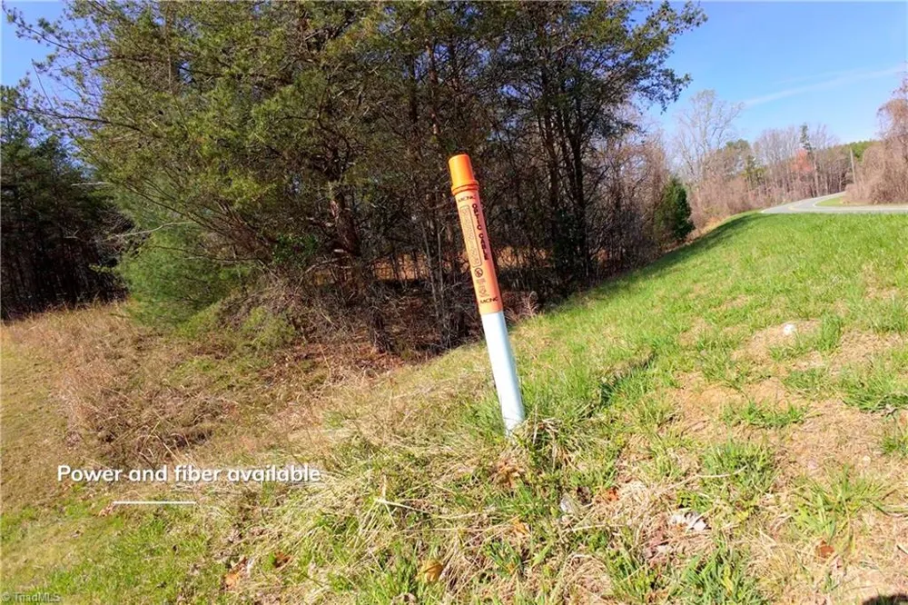 1019-12 George Road Westfield, NC 27053
