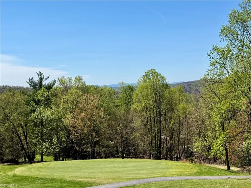 217 Fairview Drive Traphill, NC 28685