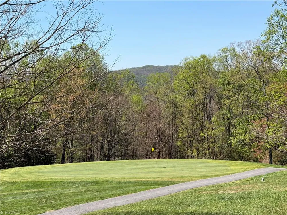 217 Fairview Drive Traphill, NC 28685
