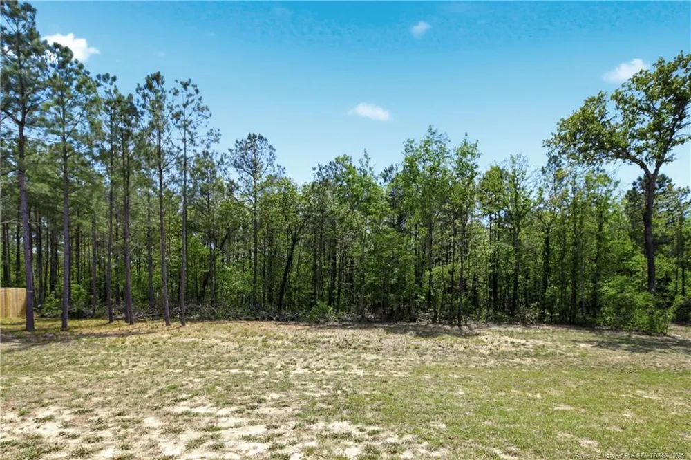 258 Collier Gate Street Linden, NC 28356