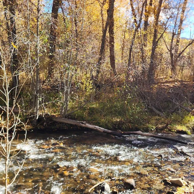 113 E Grand Ave Mancos, CO 81328