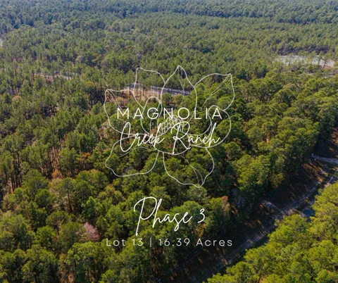 313 King Ranch Road South