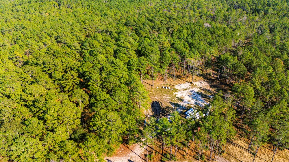 313 King Ranch Road South Onalaska, TX 77360