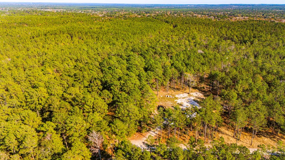 313 King Ranch Road South Onalaska, TX 77360