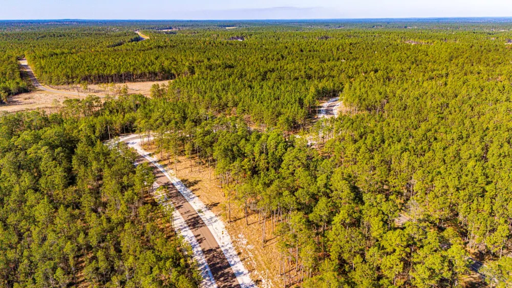313 King Ranch Road South Onalaska, TX 77360