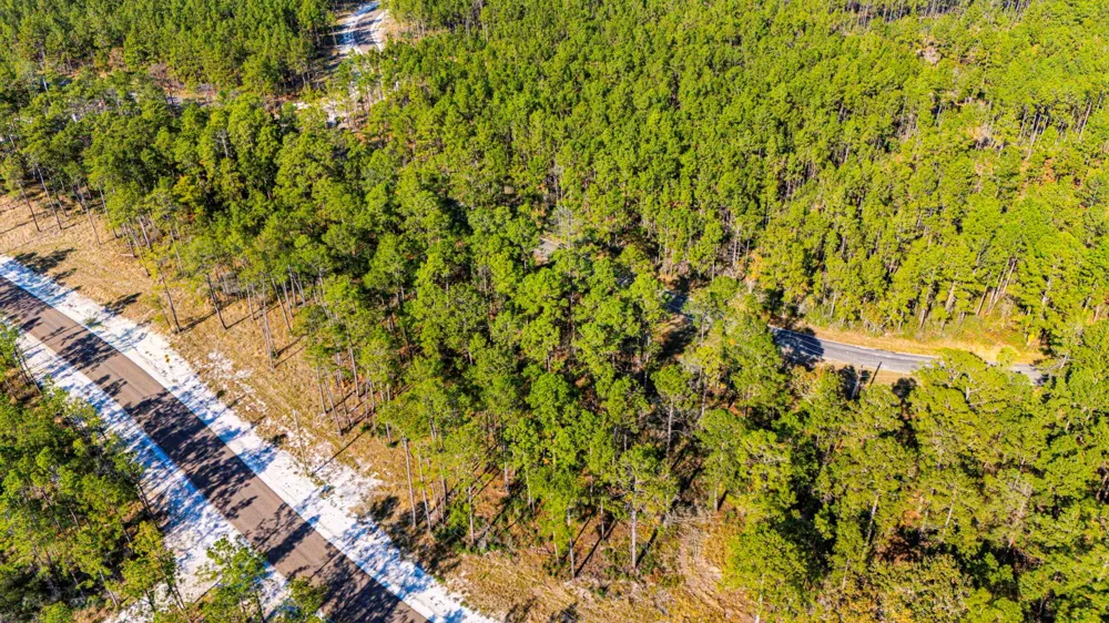 313 King Ranch Road South Onalaska, TX 77360