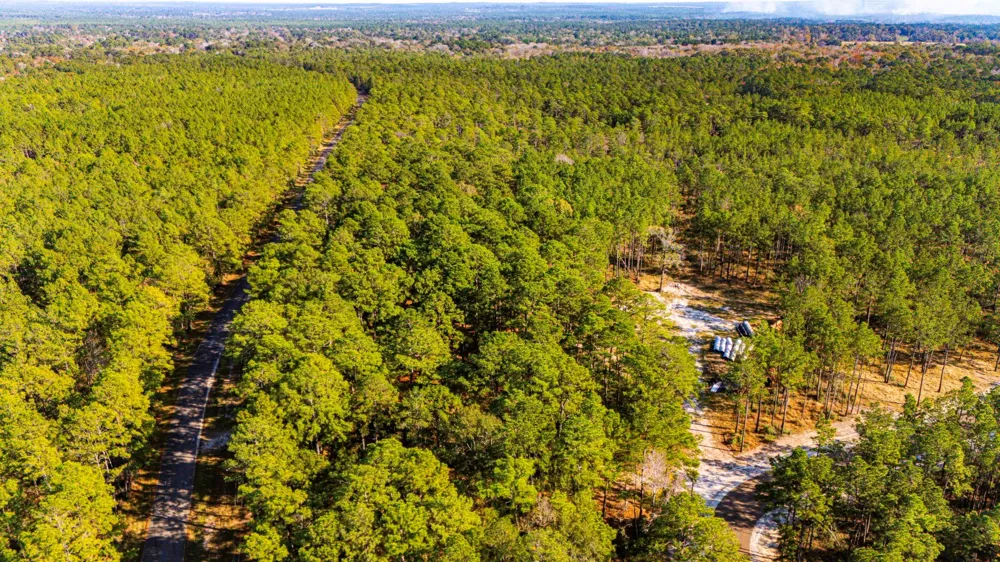313 King Ranch Road South Onalaska, TX 77360
