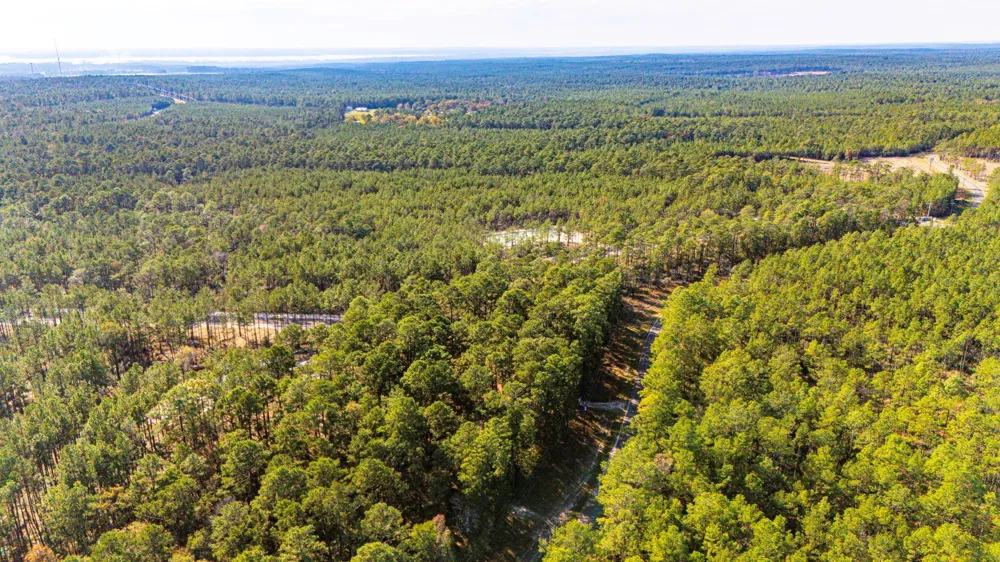 313 King Ranch Road South Onalaska, TX 77360