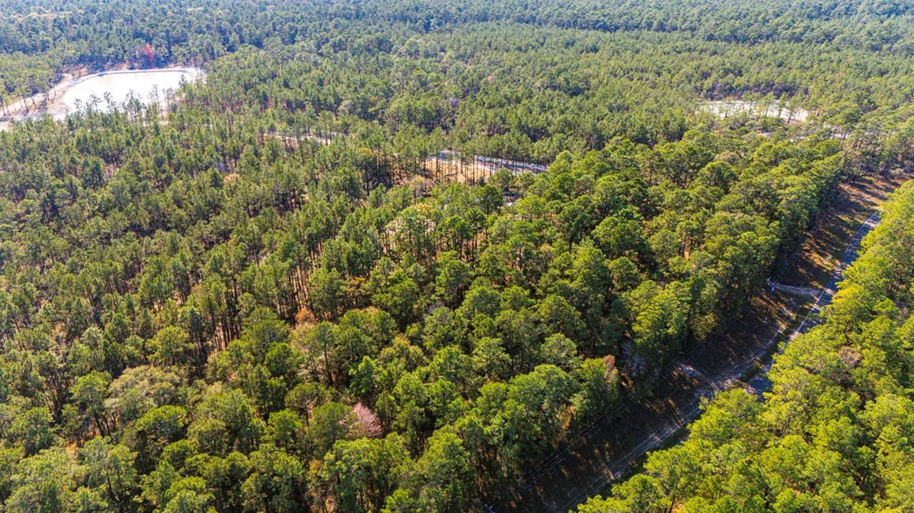 313 King Ranch Road South Onalaska, TX 77360