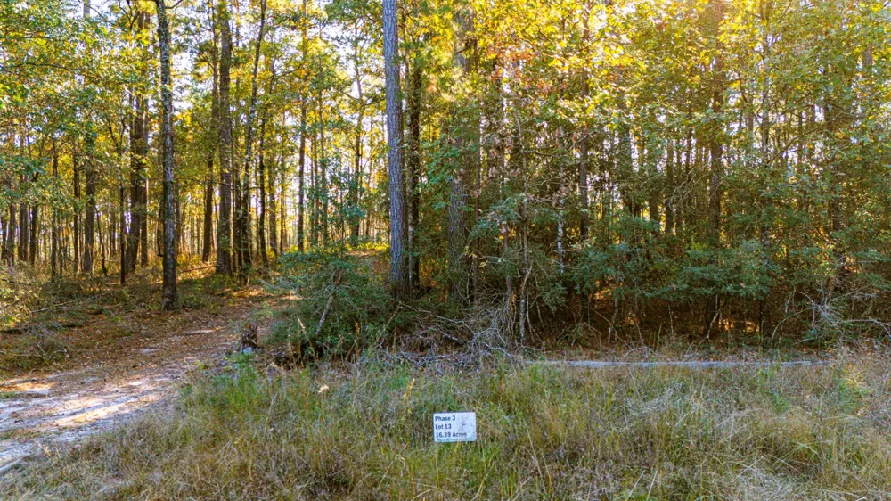 313 King Ranch Road South Onalaska, TX 77360