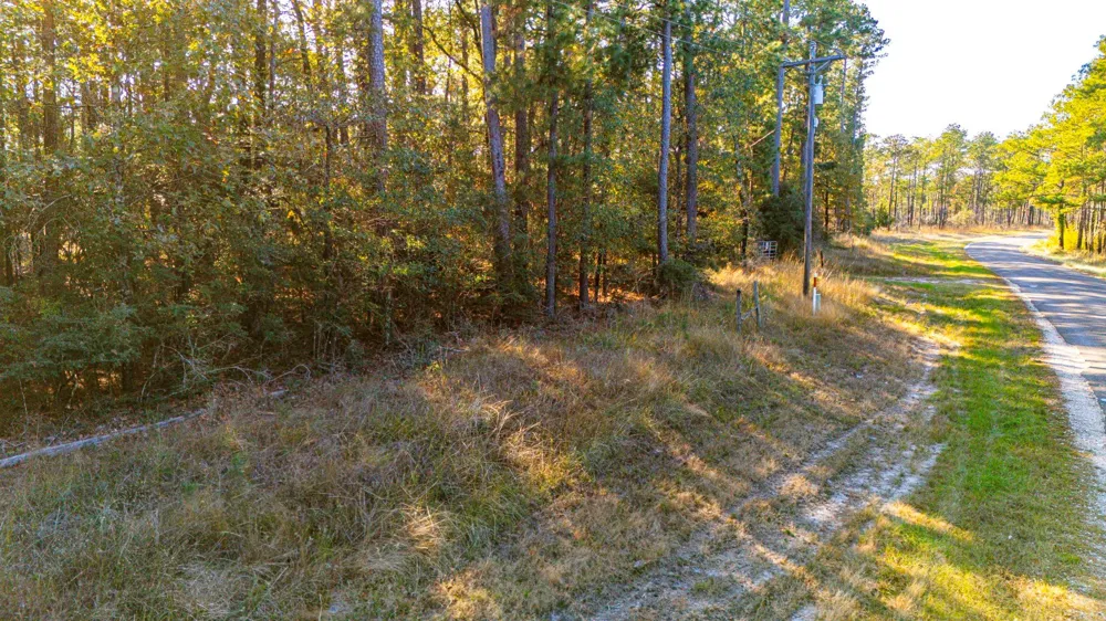 313 King Ranch Road South Onalaska, TX 77360