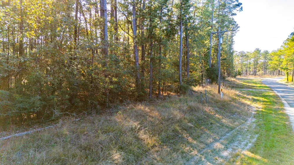 313 King Ranch Road South Onalaska, TX 77360