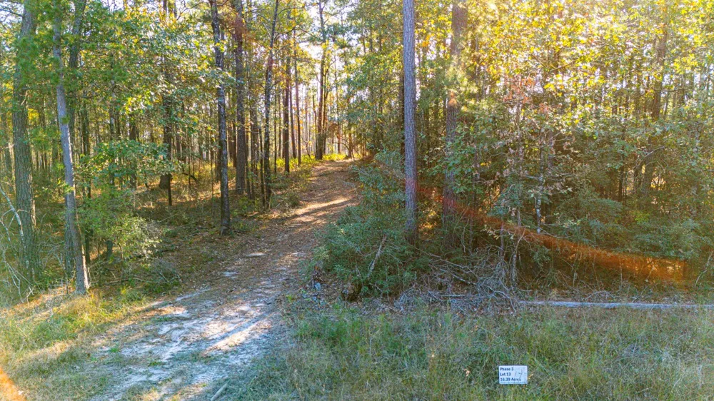 313 King Ranch Road South Onalaska, TX 77360