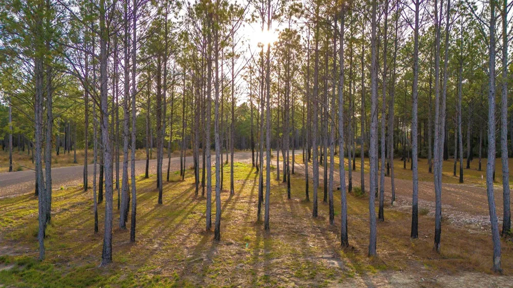 313 King Ranch Road South Onalaska, TX 77360