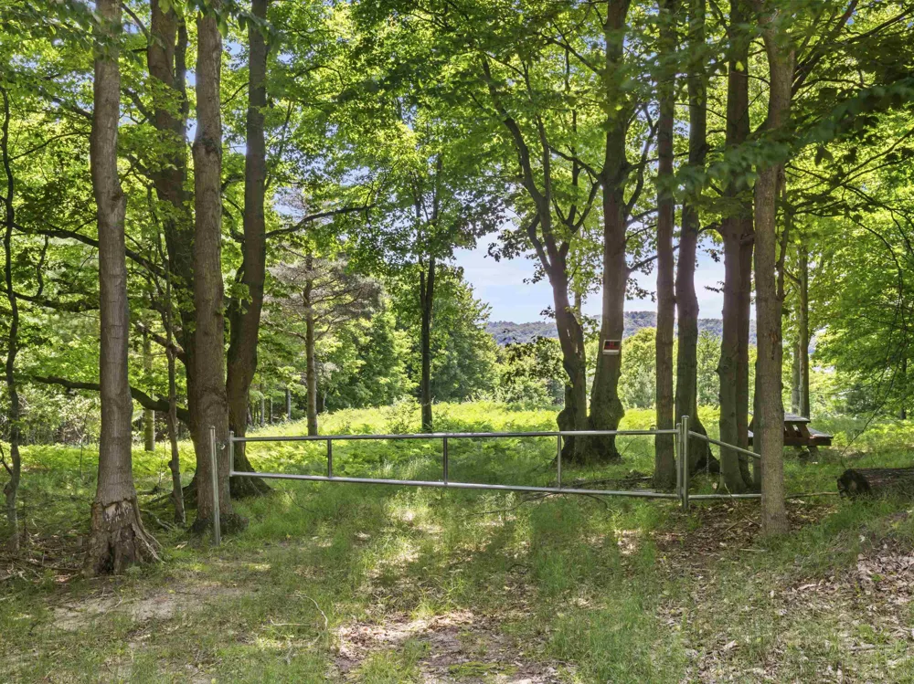 Day Avenue Frankfort City, MI 49635