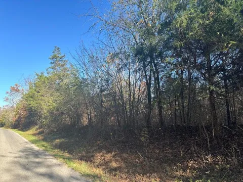 Mt Carmel Road