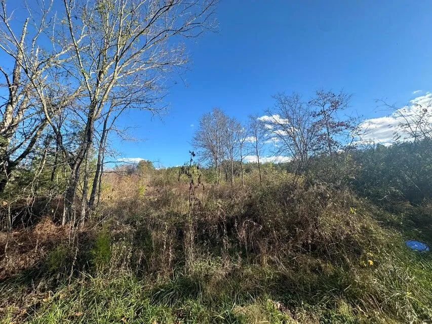 Mt Carmel Road Decatur, TN 37322