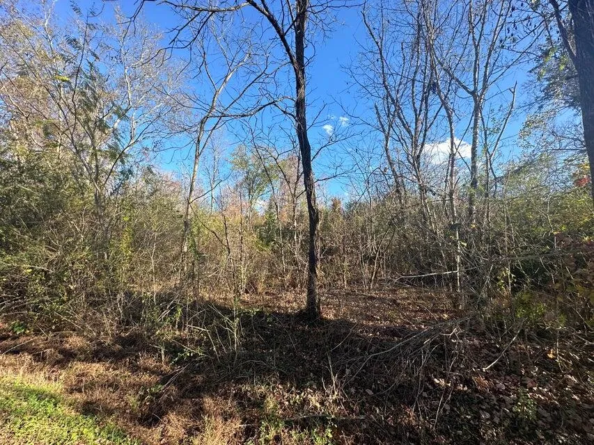 Mt Carmel Road Decatur, TN 37322
