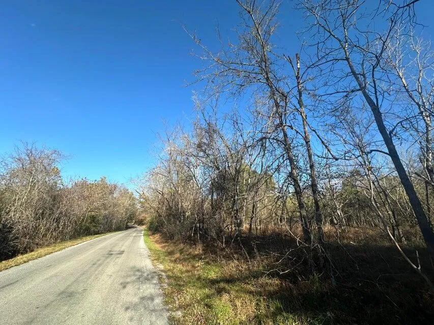 Mt Carmel Road Decatur, TN 37322