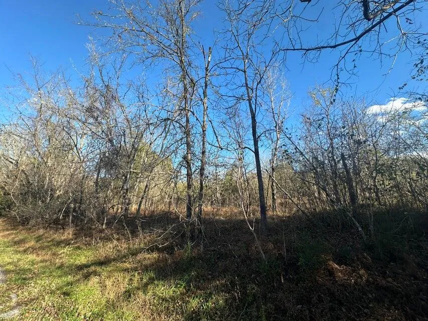 Mt Carmel Road Decatur, TN 37322