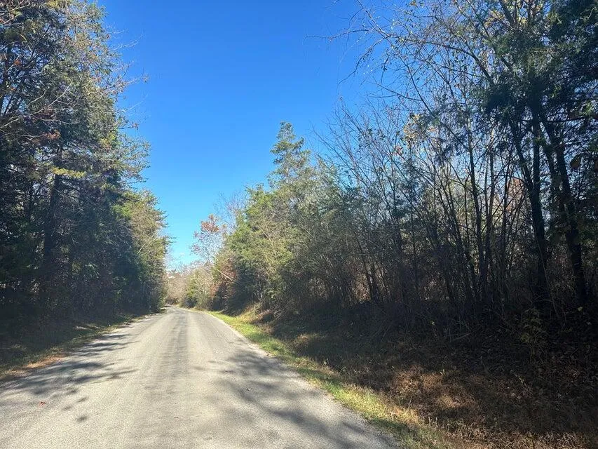 Mt Carmel Road Decatur, TN 37322