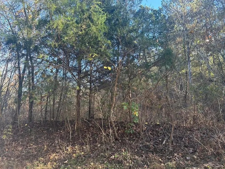 Mt Carmel Road Decatur, TN 37322