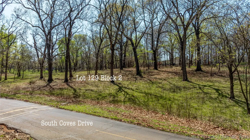 Blue Grouse Lane Afton, OK 74331
