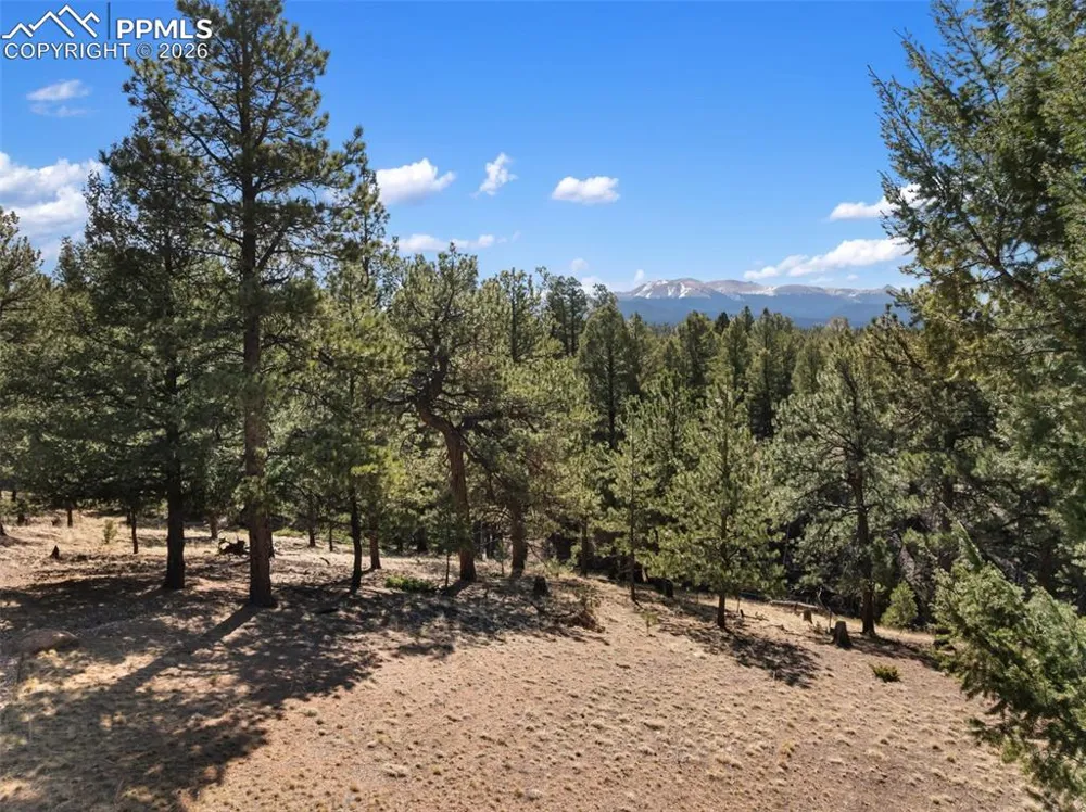 48 Walden Lake Circle Divide, CO 80814