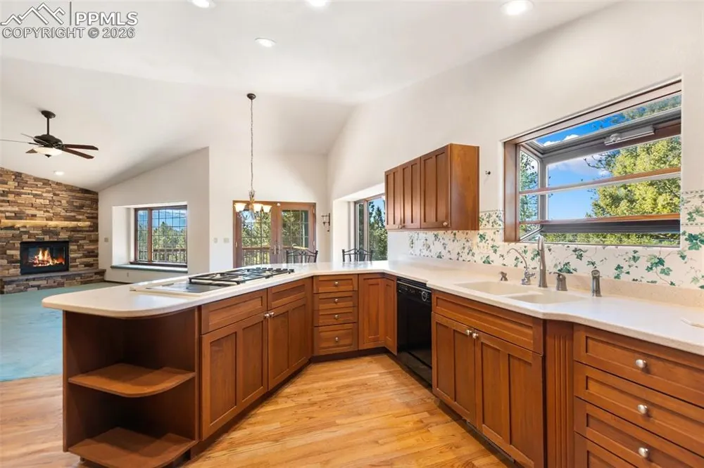 48 Walden Lake Circle Divide, CO 80814