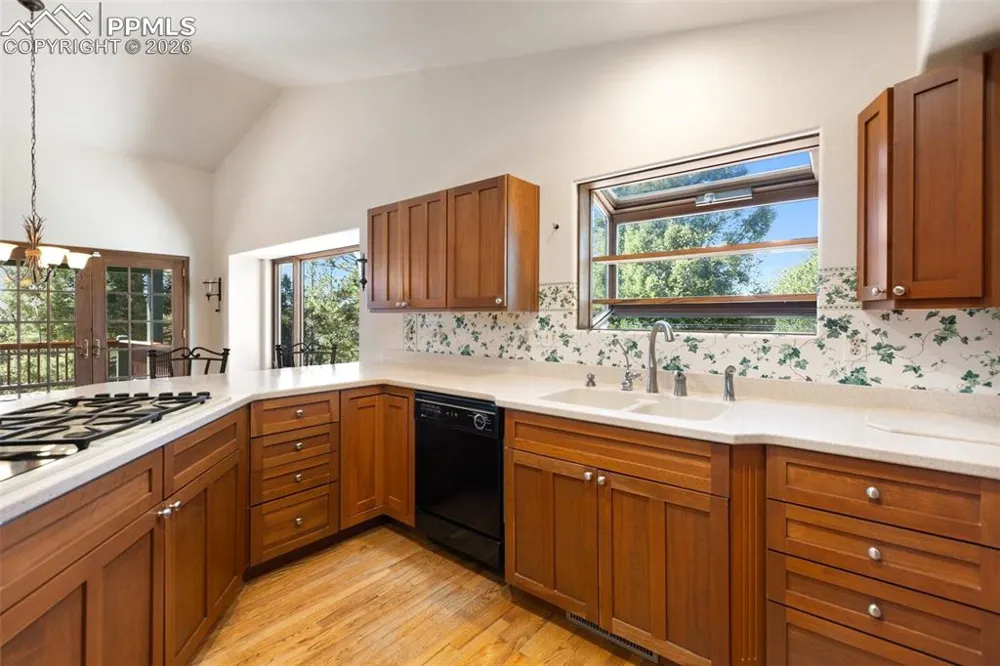 48 Walden Lake Circle Divide, CO 80814