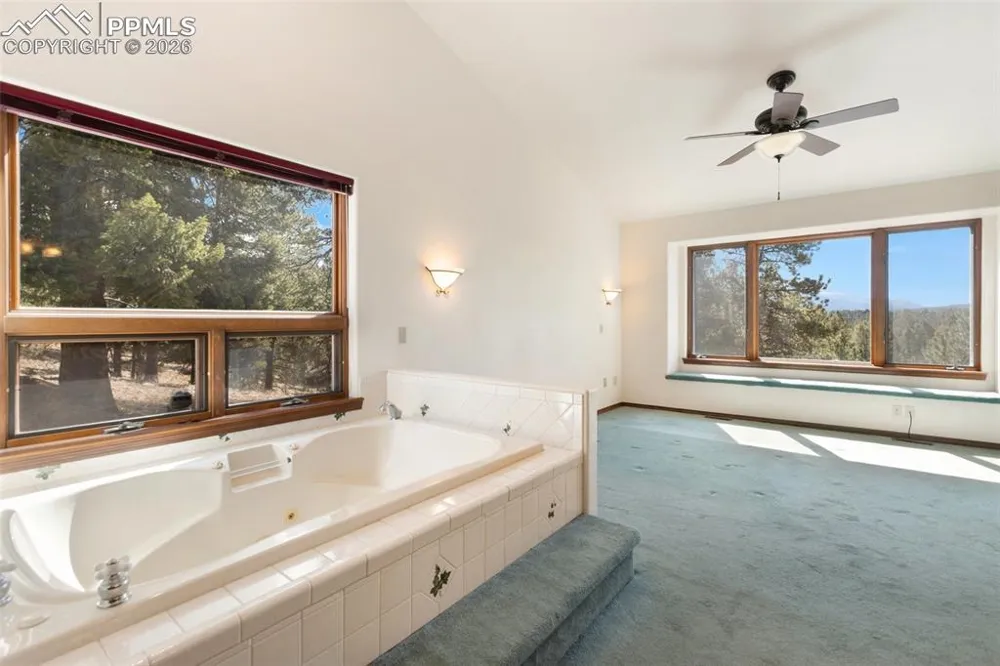 48 Walden Lake Circle Divide, CO 80814