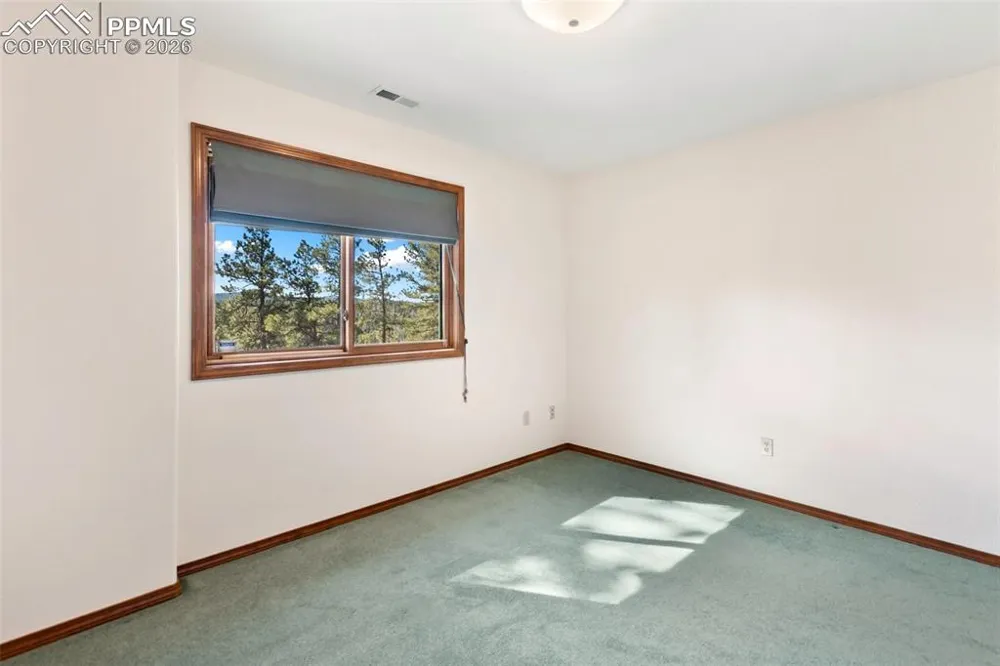 48 Walden Lake Circle Divide, CO 80814