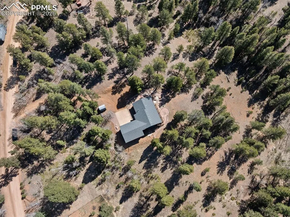 48 Walden Lake Circle Divide, CO 80814