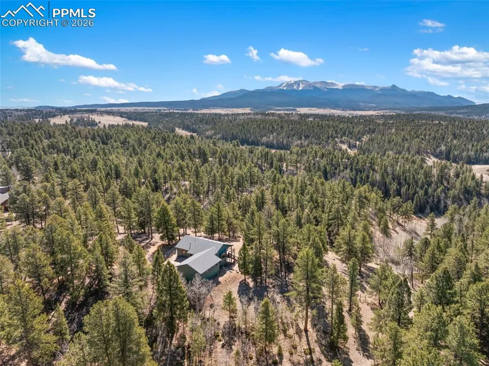 48 Walden Lake Circle Divide, CO 80814