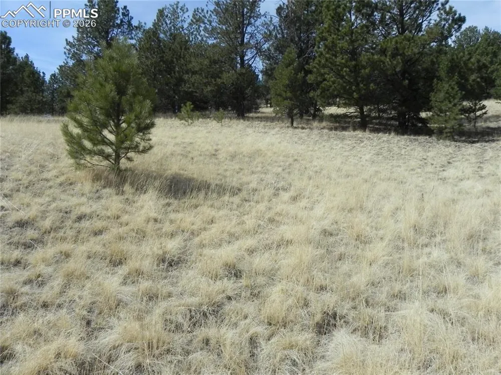 1058 Monarch Drive Cripple Creek, CO 80813