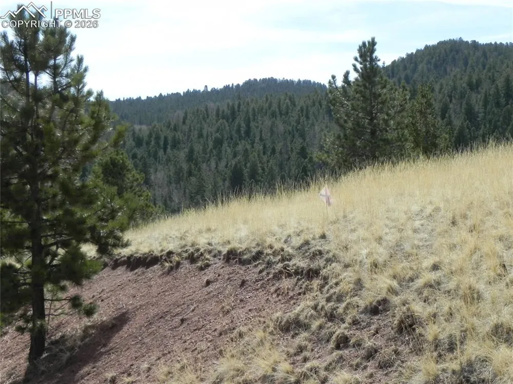 1058 Monarch Drive Cripple Creek, CO 80813