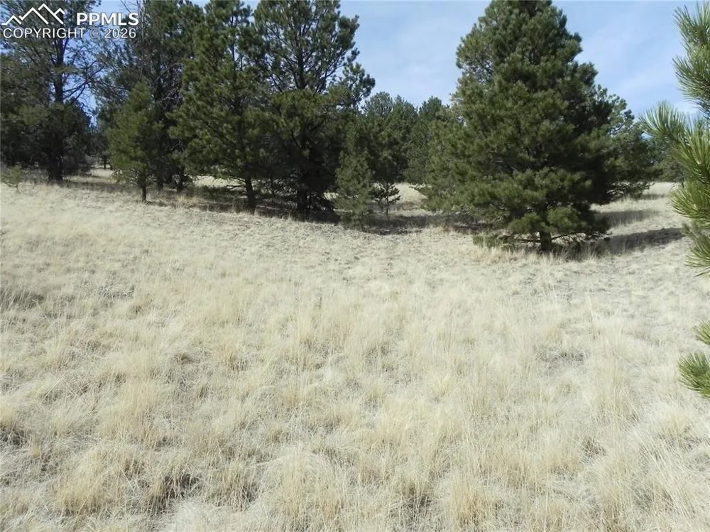 1058 Monarch Drive Cripple Creek, CO 80813