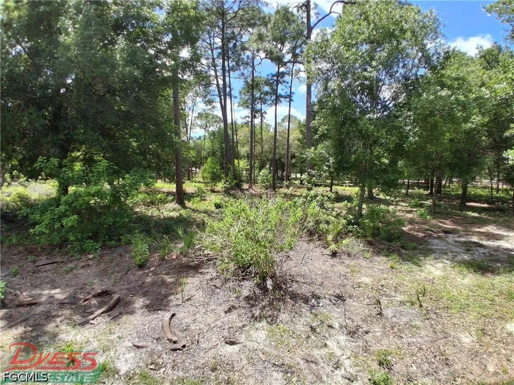 Live Oak Street Clewiston, FL 33440