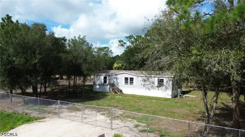 Live Oak Street