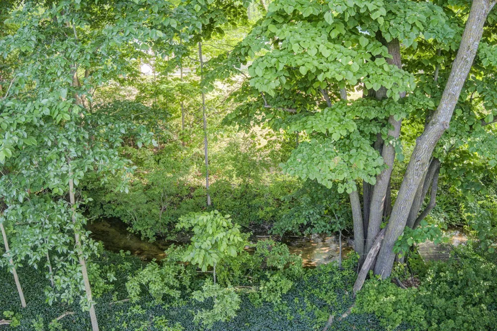 4793 E Duck Lake Road Green Lake Township, MI 49637